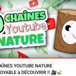 Cryptide Nature