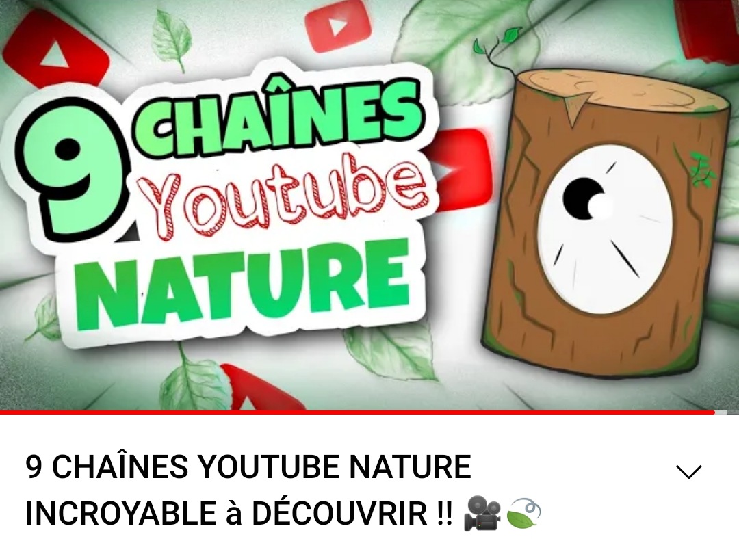 Cryptide Nature