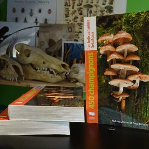 450 Champignons, les indispensable Delachaux