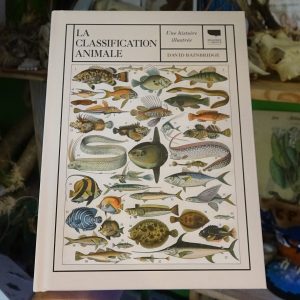 La classification animale, une histoire illustrée